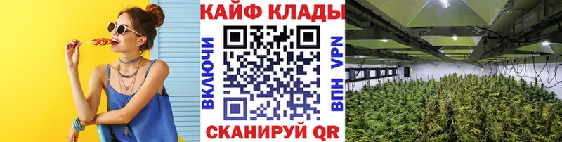 Купить закладку Каннабис А ПВП ГАШИШ Меф мяу мяу АМФЕТАМИН COCAIN Аша