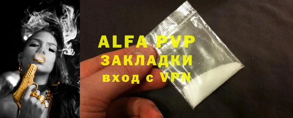молекула духа Каменка