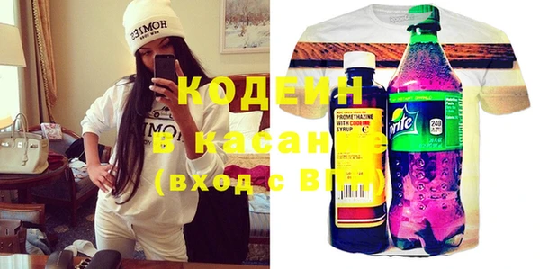 молекула духа Каменка