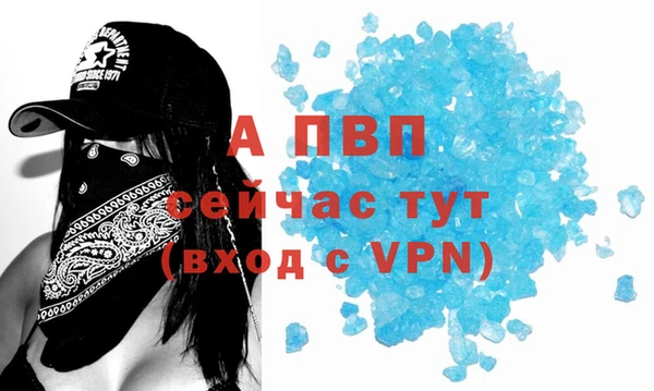 стаф Каменногорск