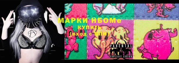 стаф Каменногорск