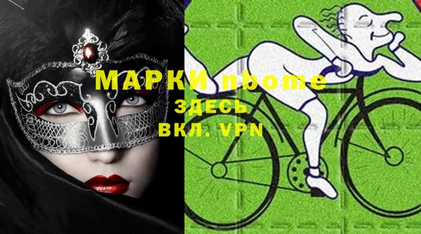 стаф Каменногорск