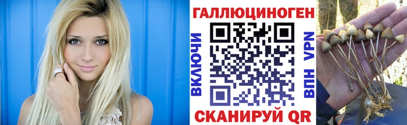 Купить закладки  Аша  Галлюциногенные грибы мицелий 